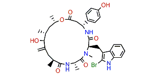 Jaspamide C